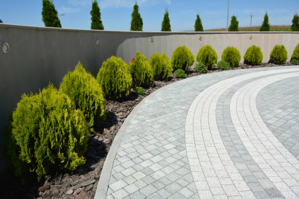 Best Driveway Repair Near Me  in Lindsay, TX